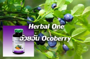 Herbal One อ้วยอัน Ocoberry