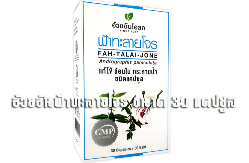 อ้วยอันฟ้าทะลายโจร ขนาด 30 แคปซูล-01 | Health Product